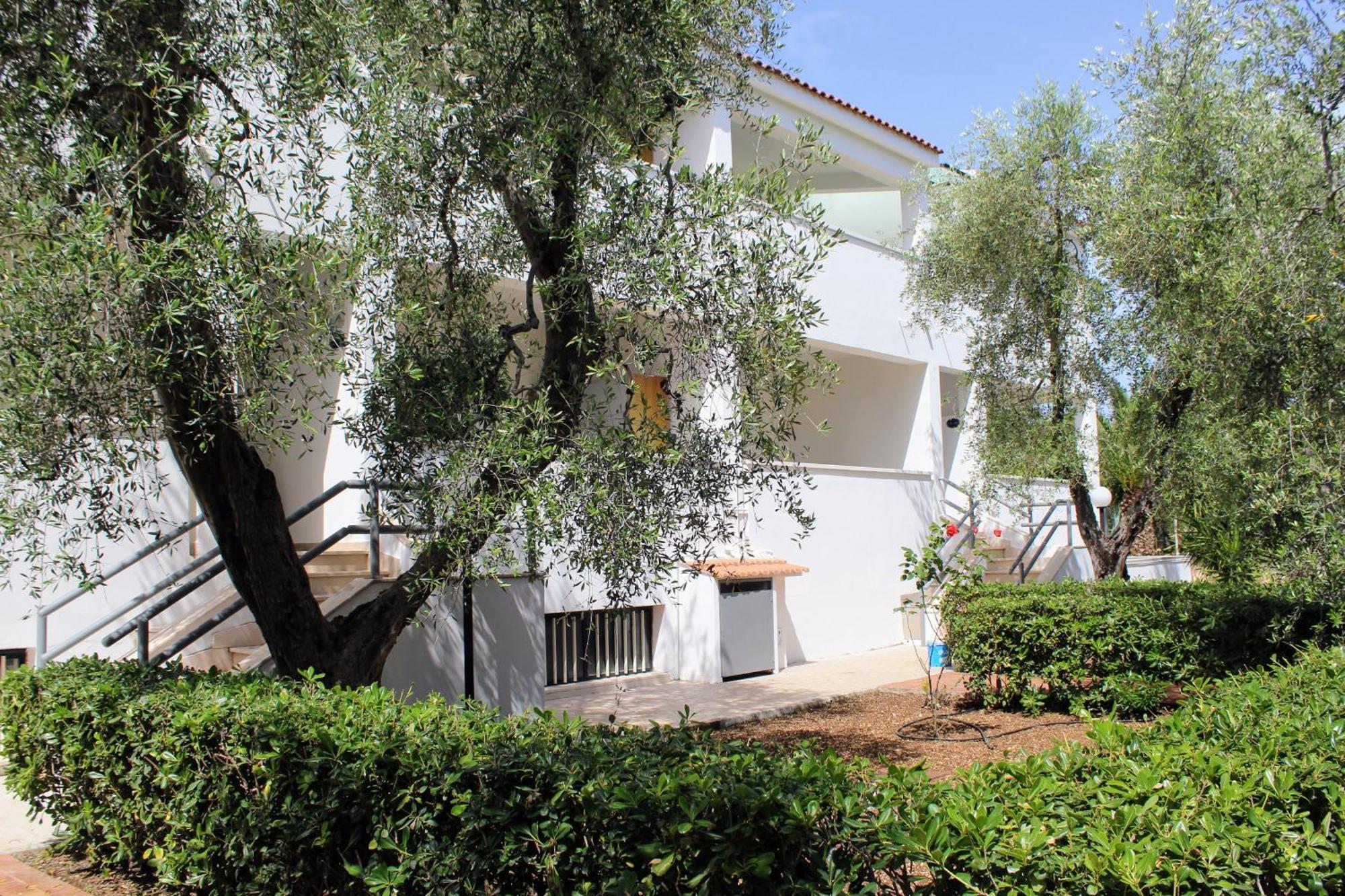 Hotel Palme Gemelle Vieste Esterno foto