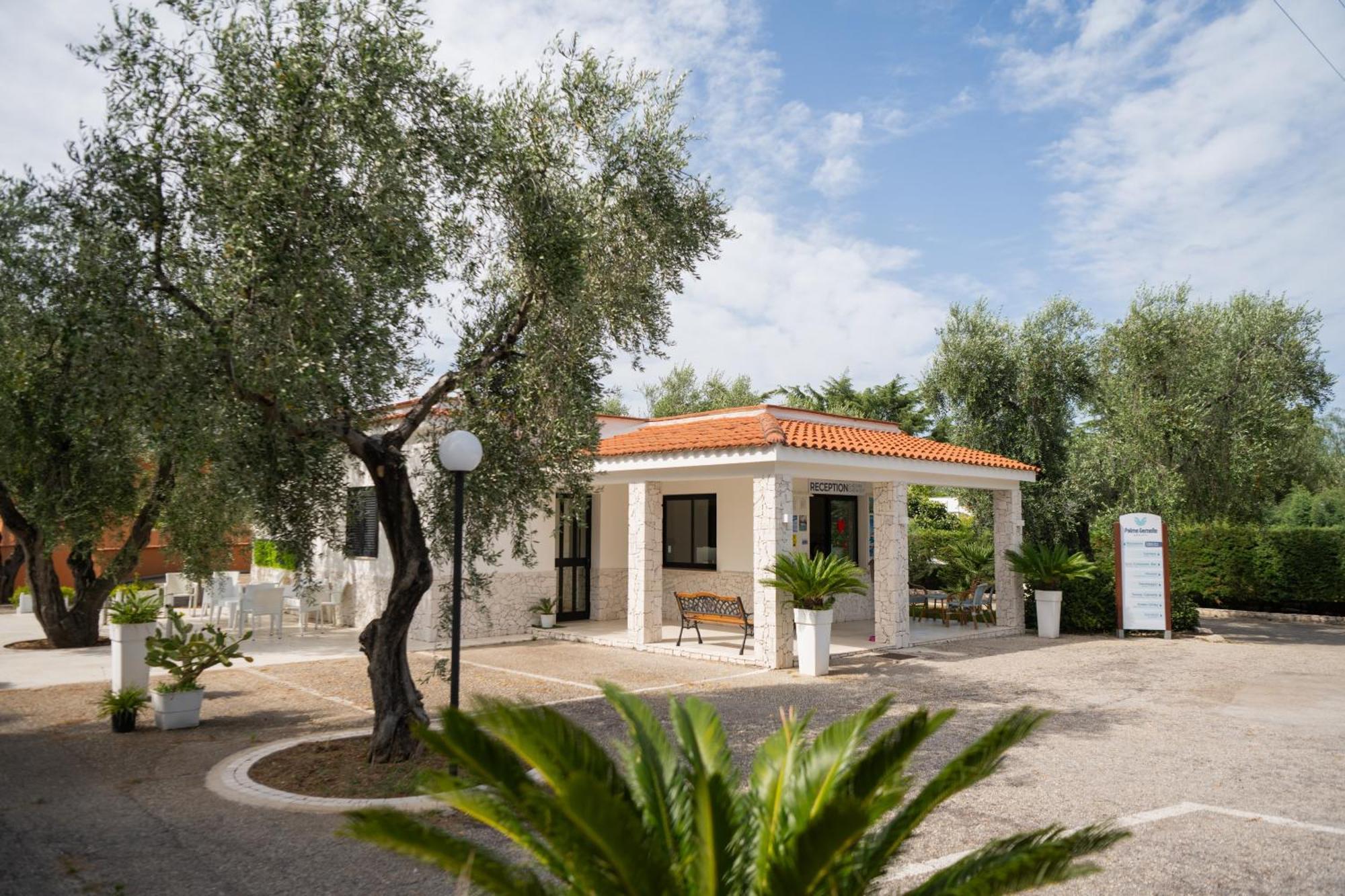 Hotel Palme Gemelle Vieste Esterno foto